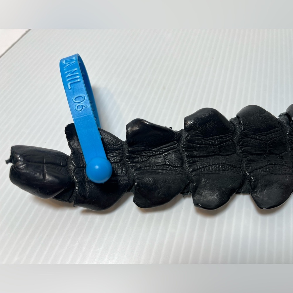 Genuine Alligator Leather Black Tanned Exotic Hornback Hide /Skin - Picture 13 of 16